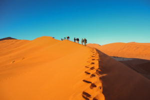 MICE Gruppe auf einer Düne in Namibia während einer exklusiven Incentive Reise im südlichen Afrika