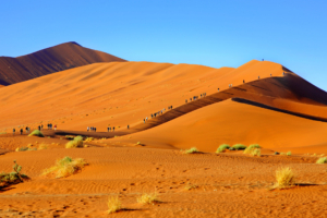 Gäste einer incentive Reise wandern auf einer roten Dünen in Namibia