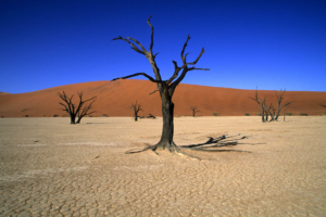 Dünenlandschaft in Sossusvlei während einer Rundreise in Namibia